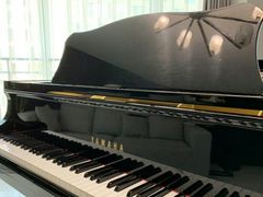 -Melody Mentor音乐私教馆(朝外·悠唐店)