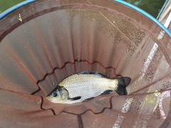 -酷鱼垂钓CLUB(朝阳区博大路店 )