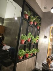-时尚殿堂明星门店