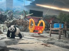 -武汉动物园