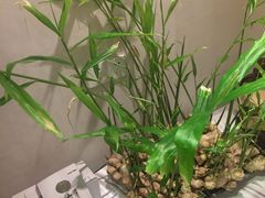 -蓝北人家·渝菜