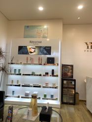 -YESIDO椰岛造型