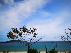 -亚龙湾海底世界