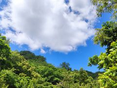 -大岭沟猕猴桃谷风景区