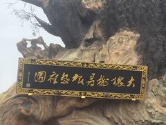 -大槐树寻根祭祖园