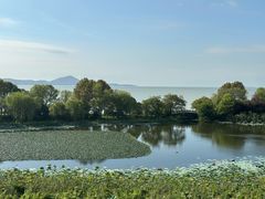 -上海市保健医疗中心