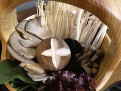 菌类拼盘-掂档潮汕牛肉火锅(沈阳万象城店)