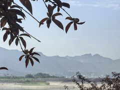 -屈原故里文化旅游区