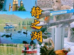 -静之湖度假区