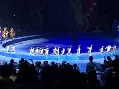 -珠海横琴长隆《卡卡虎奇遇记》