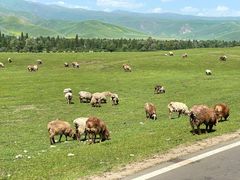 -新疆那拉提国家旅游度假区