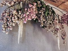 -陶享时光西餐·下午茶(信河街店)