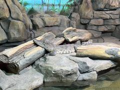 -郑州海洋馆