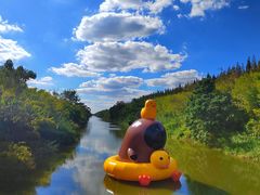 -黄海国家森林公园