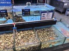 -天鹰观渔(梦园店)