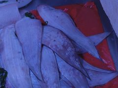 海鱼-生鲜便民超市(蚌埠店)