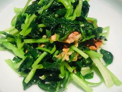 邹山腐皮鸡毛菜-竹外桃花·江南小酒馆(SKP·S店)