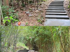 -缙云山景区