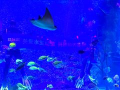 -沈阳海洋探索中心