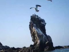 -大连冰峪旅游度假区
