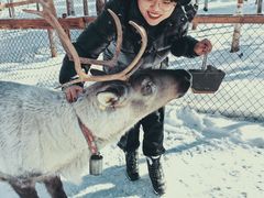 -北极村旅游风景区