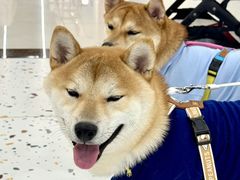-开元商城(西旺店)