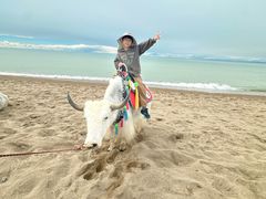 -青海湖国家重点风景名胜区
