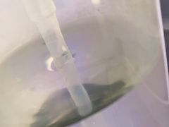 -原味田园·客家菜·土窑鸡(中航城君尚购物中心店)