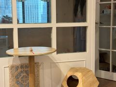 -楼上猫咖(罗湖店)