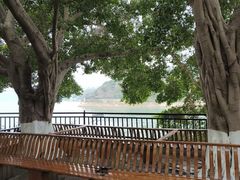 -白帝城·瞿塘峡景区