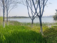 -东湖落雁景区
