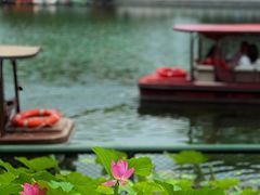 -后海公园