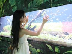 -海合安成都极地海洋公园