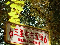 -三里屯东五街银杏大道