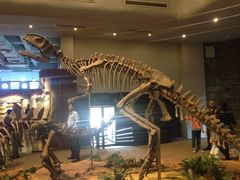 -自贡恐龙博物馆