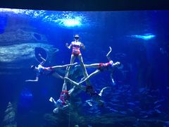 -多彩贵州城极地海洋世界