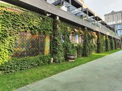 -西安电影制片厂