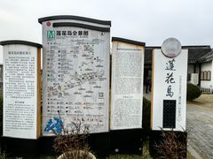 -莲花岛景区