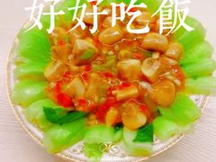 -田螺阿姨自营月嫂·育儿嫂(高新店)