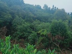 -达蓬山旅游度假区