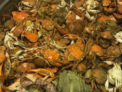 -东戴河风景区-止锚湾