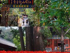 -沉浸北京·团建旅行·密室剧本杀·年会会议轰趴拓展