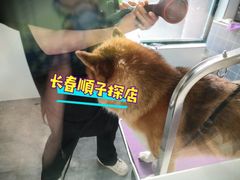 -宠颐生动物医院·心脏科·保险定点(锦阳分院)