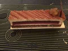 栗子黑醋栗侧面层次-Salon de The de Joel Robuchon(外滩18号店)