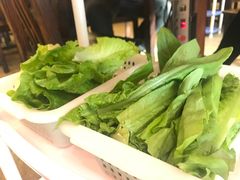 什菜-正能量脆肉鲩火锅