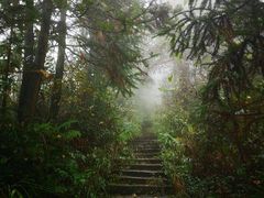 -紫鹊界梯田景区