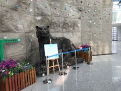 -吉林省自然博物馆
