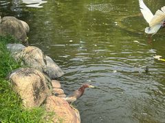 -厦门日月谷温泉渡假村