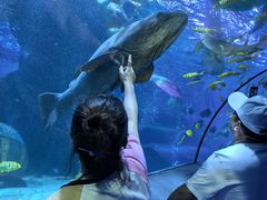 -太平洋海底世界