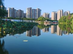 -新江湾城公园